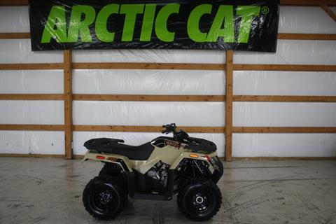 2022 Arctic Cat Alterra 300 in Campbellsville, Kentucky - Photo 3