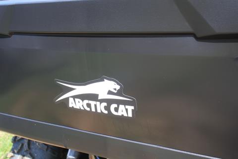 2023 Arctic Cat Prowler Pro EPS in Campbellsville, Kentucky - Photo 6