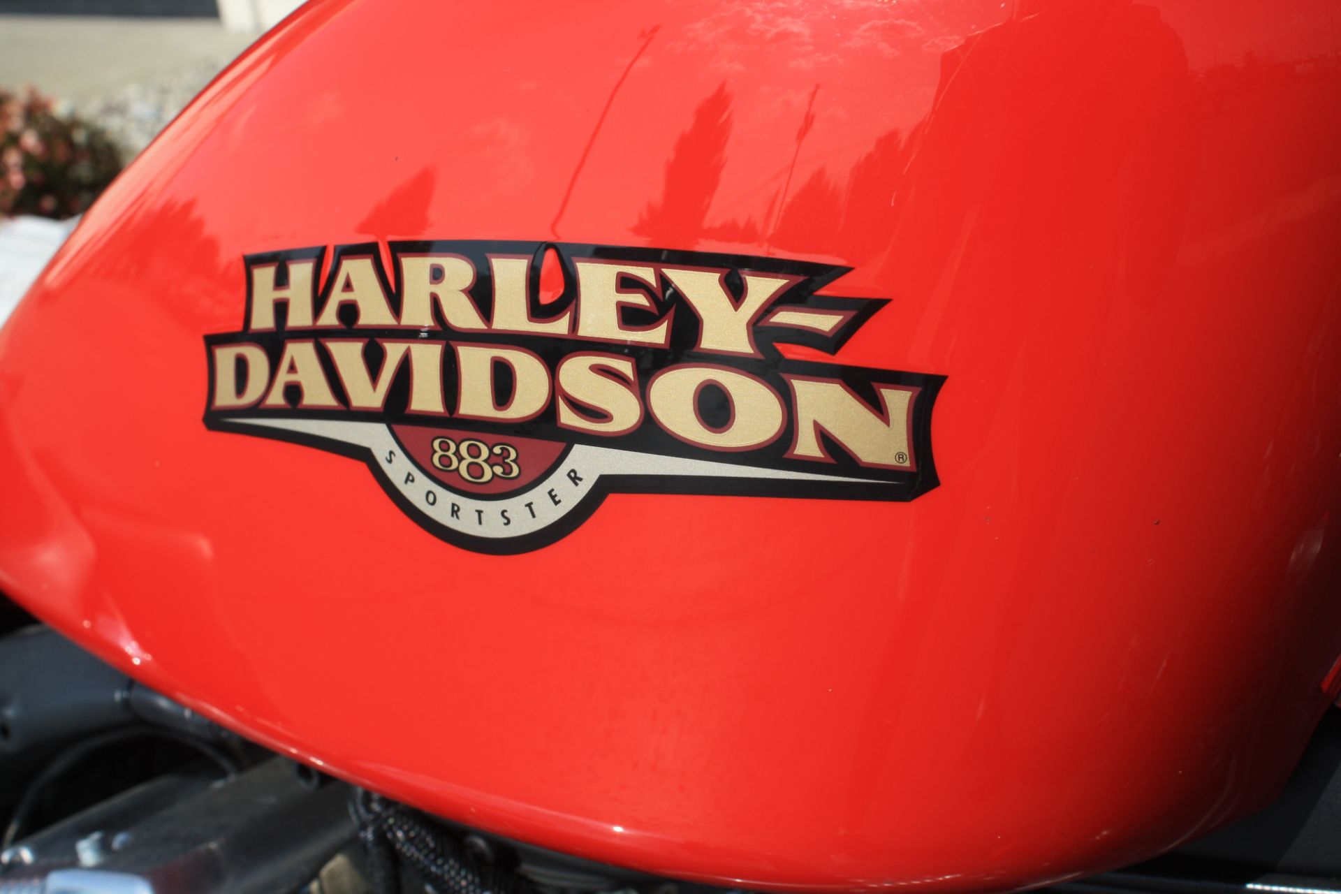 2010 Harley-Davidson Sportster 883 in Campbellsville, Kentucky - Photo 10