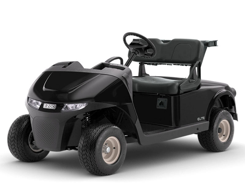 2025 E-Z-GO Freedom RXV ELiTE 4.2 Lithium in La Quinta, California - Photo 1