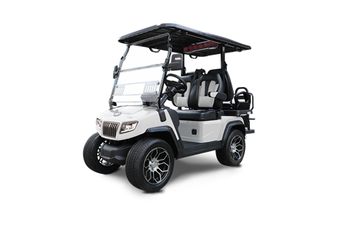 2025 Evolution Electric Vehicles D5 RANGER 2+2 Plus - LSV in La Quinta, California