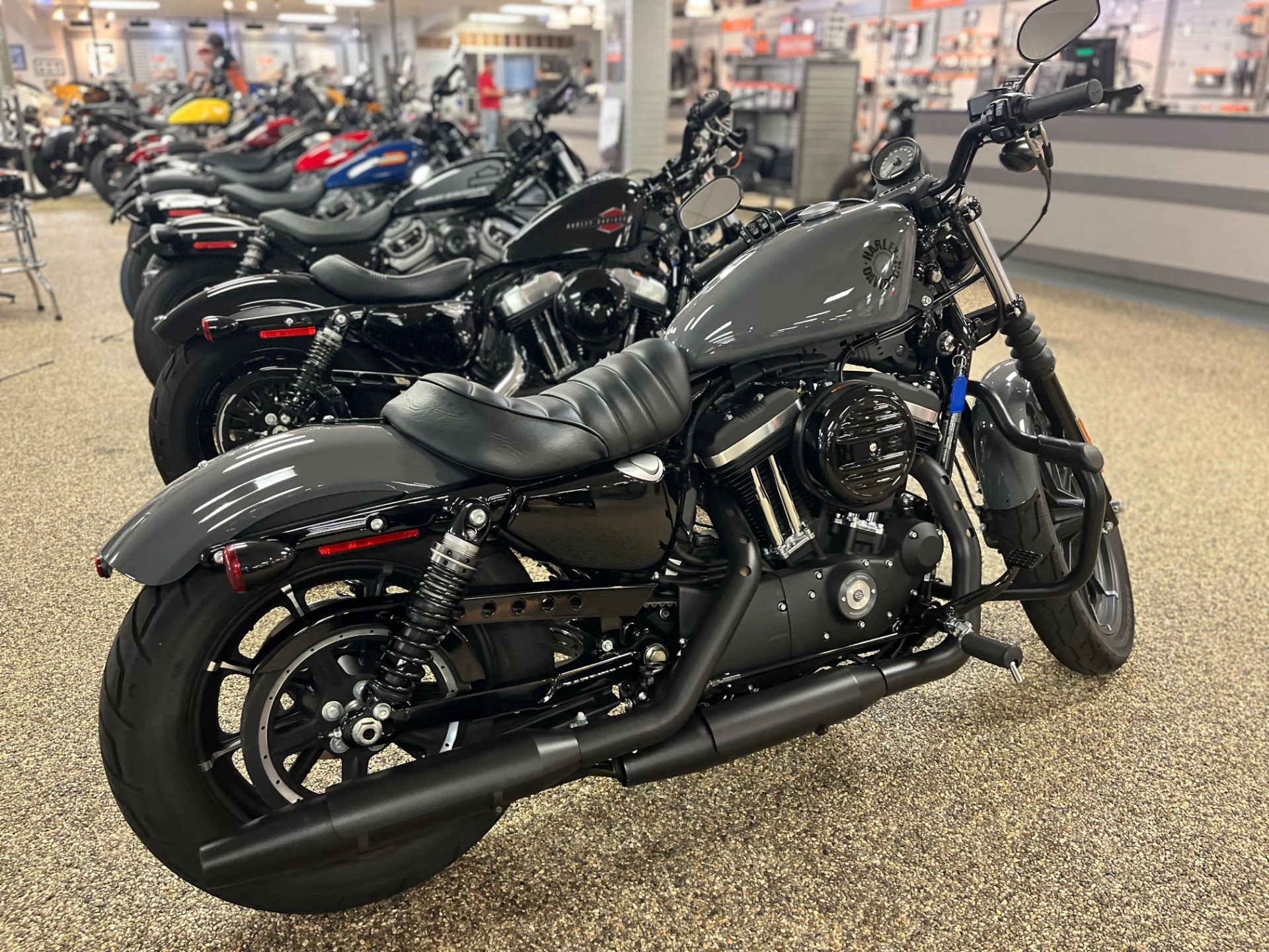 2022 Harley-Davidson Iron 883™ in Virginia Beach, Virginia - Photo 2