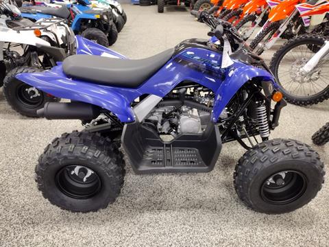 2024 Yamaha Raptor 110 in Murrysville, Pennsylvania - Photo 1