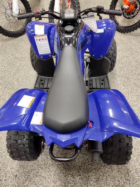 2024 Yamaha Raptor 110 in Murrysville, Pennsylvania - Photo 3