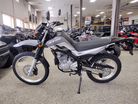 2024 Yamaha XT250 in Murrysville, Pennsylvania - Photo 3