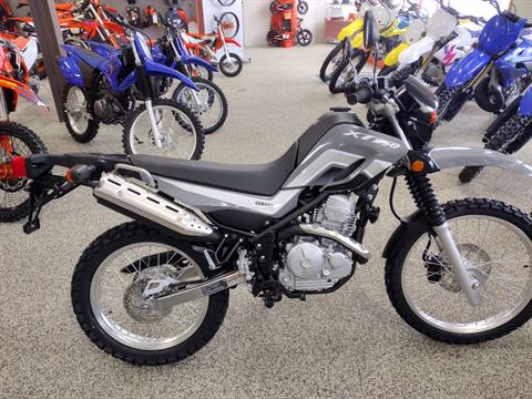 2024 Yamaha XT250 in Murrysville, Pennsylvania - Photo 1