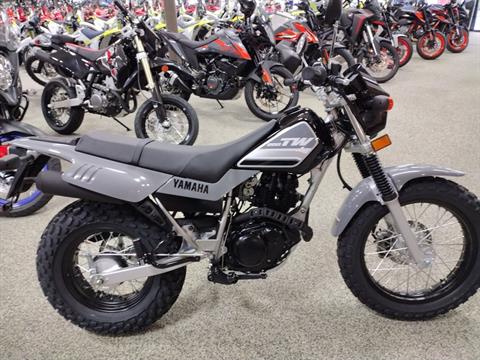 2025 Yamaha TW200 in Murrysville, Pennsylvania - Photo 1