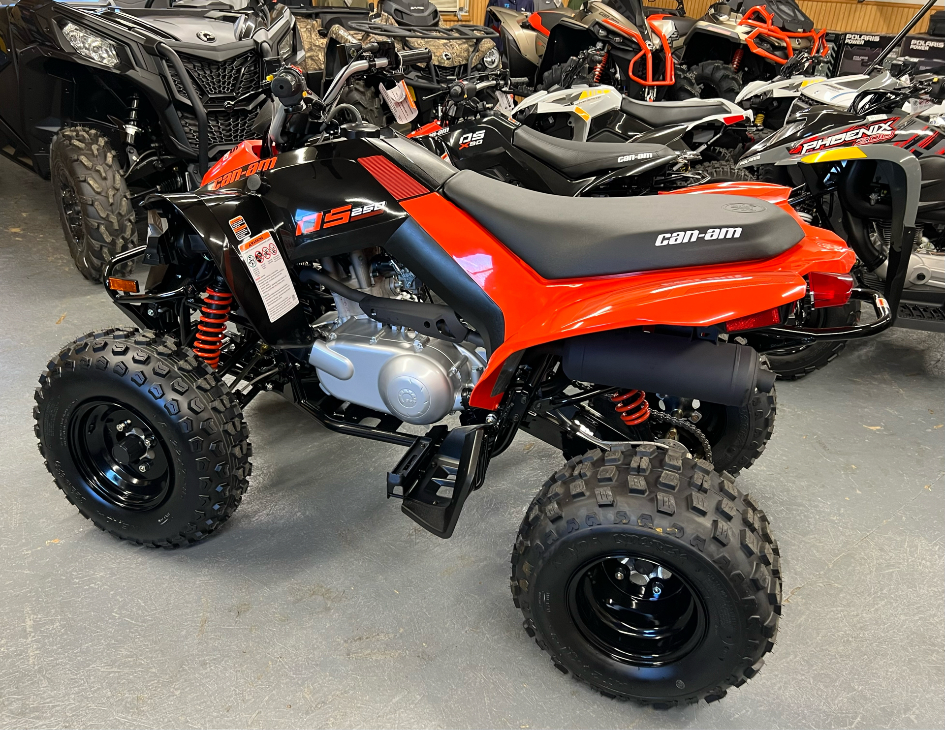 2023 Can-Am DS 250 in Mars, Pennsylvania - Photo 1