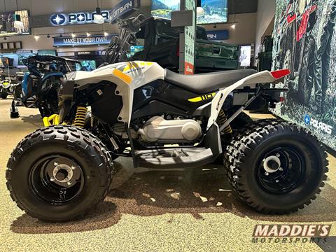 2024 Can-Am Renegade 110 EFI in Spencerport, New York - Photo 3