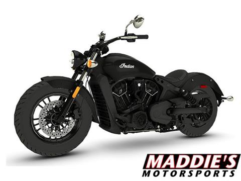 2023 Indian Motorcycle Scout® Sixty in Hamburg, New York - Photo 1