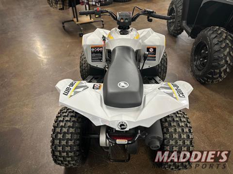 2024 Can-Am Renegade 70 EFI in Dansville, New York - Photo 6