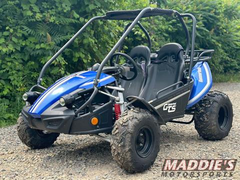 2022 Hammerhead Off-Road GTS 150 in Dansville, New York - Photo 1