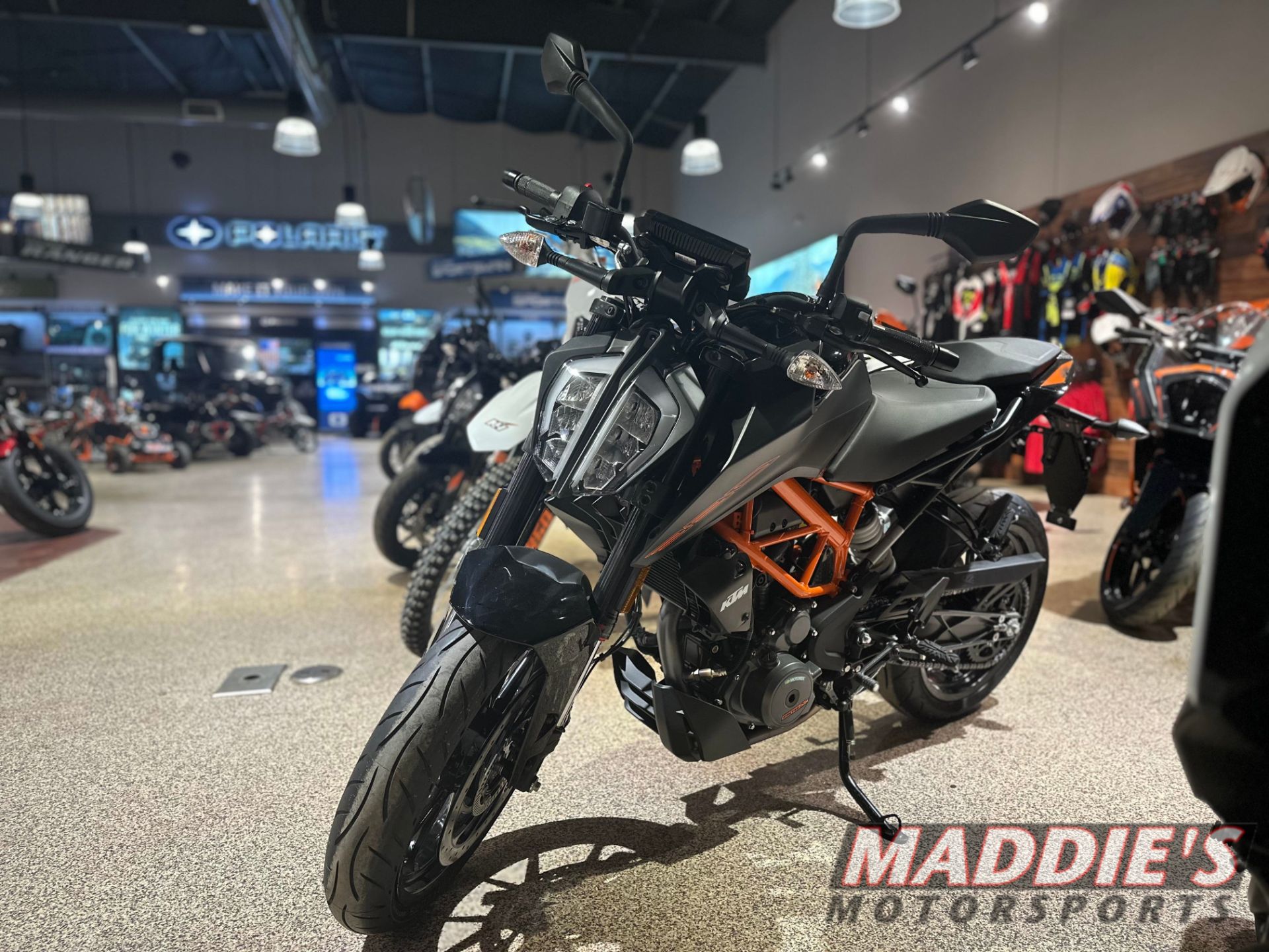 2023 KTM 390 Duke in Dansville, New York - Photo 1