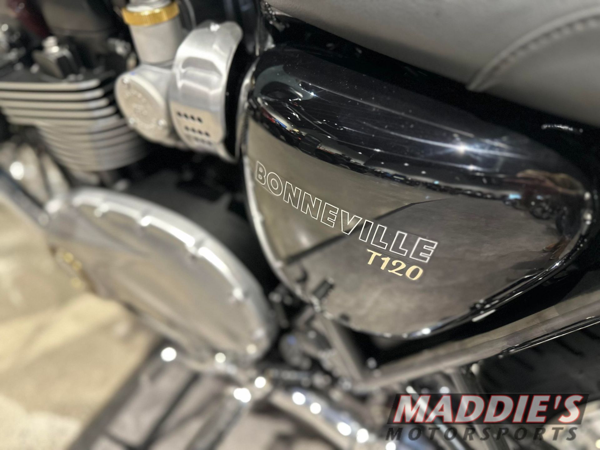 2023 Triumph Bonneville T120 Chrome Edition in Farmington, New York - Photo 2