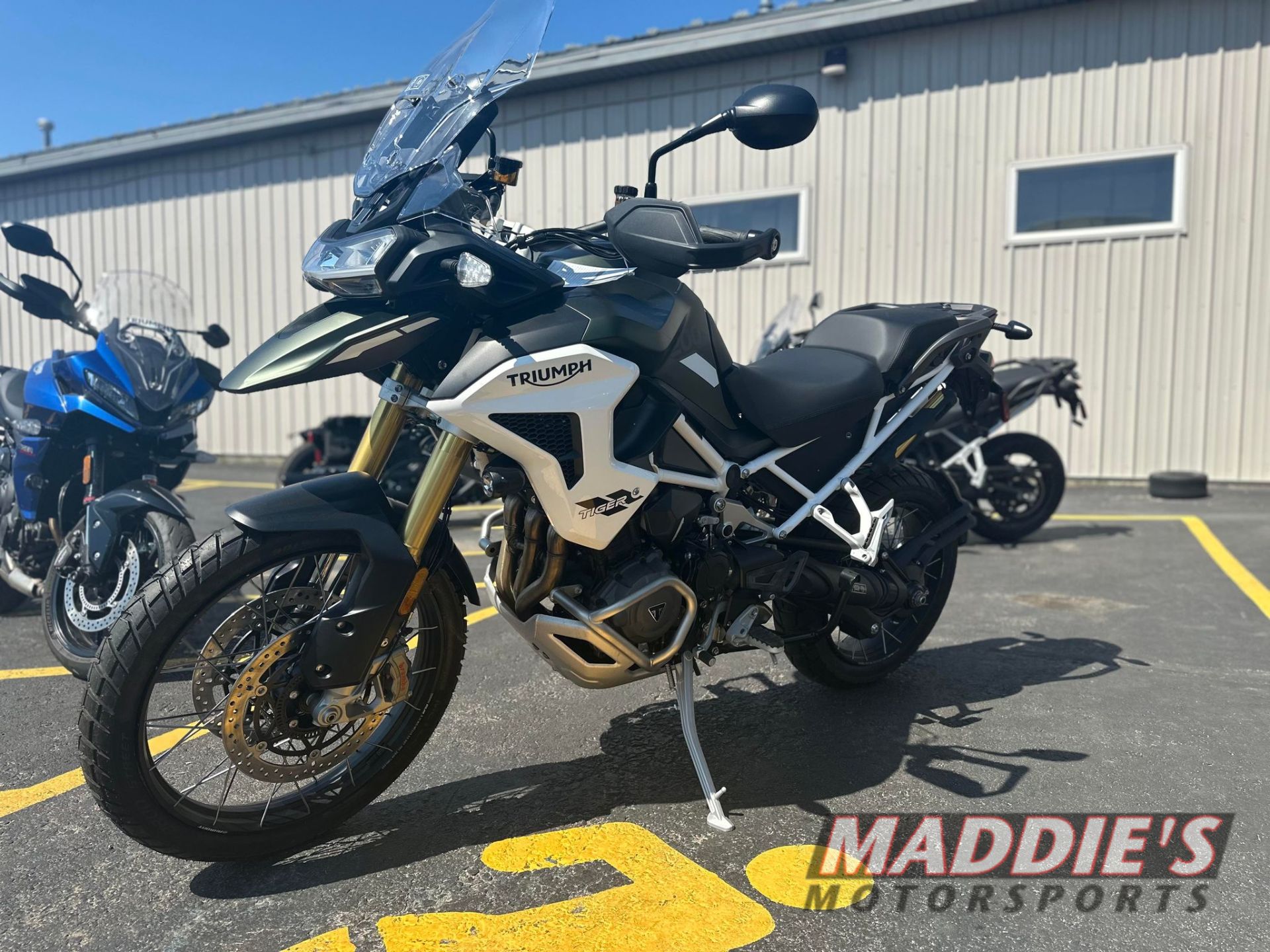 2023 Triumph Tiger 1200 Rally Pro in Farmington, New York - Photo 1