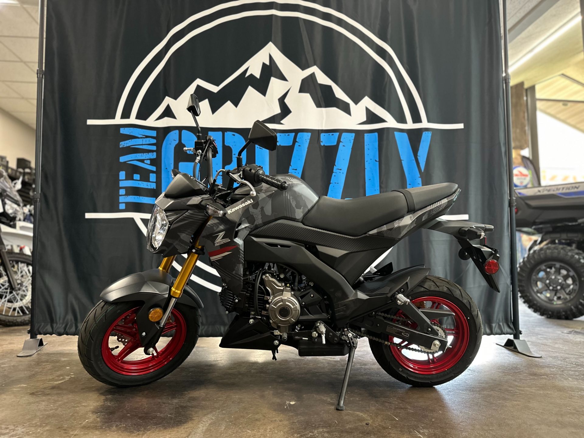 2024 Kawasaki Z125 Pro in Caldwell, Idaho - Photo 1