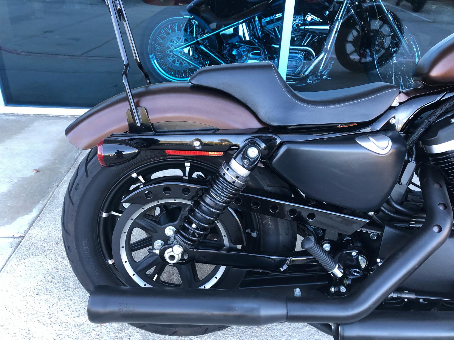 2019 Harley-Davidson Iron 883™ in Temecula, California - Photo 6