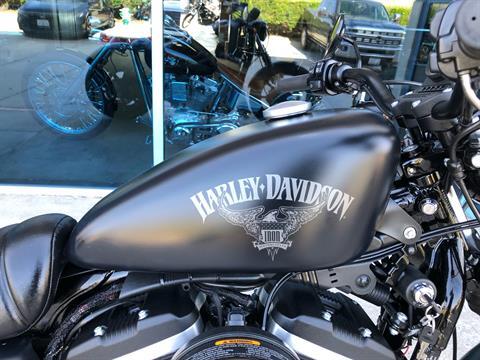 2017 Harley-Davidson Iron 883™ in Temecula, California - Photo 3