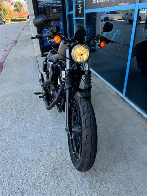 2021 Harley-Davidson Iron 883™ in Temecula, California - Photo 6