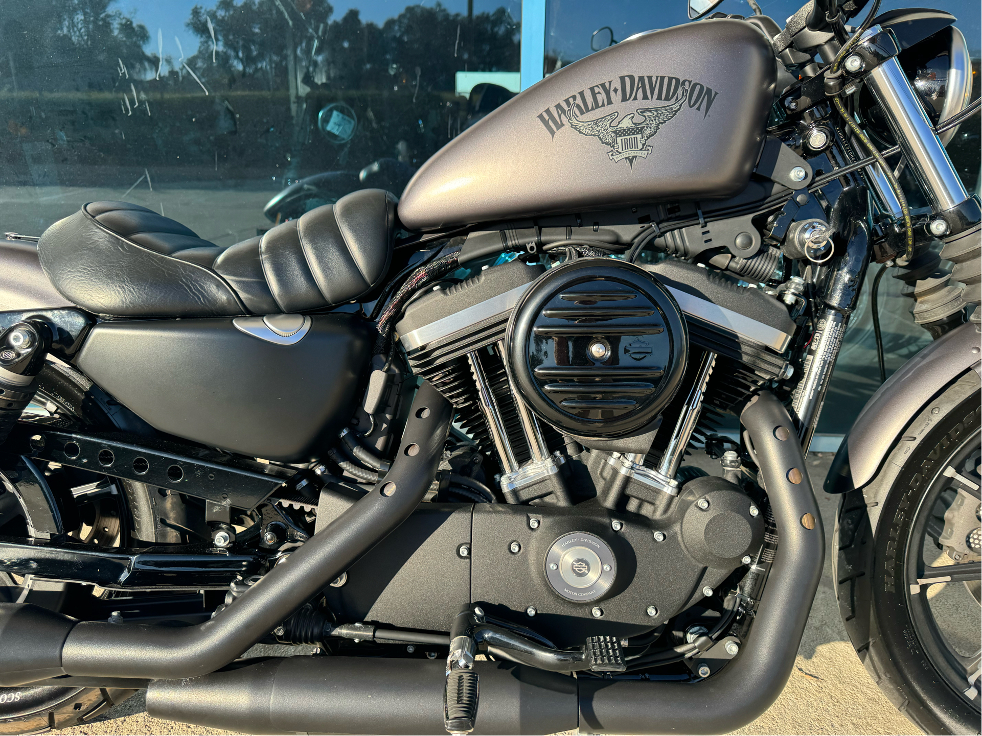 2017 Harley-Davidson Iron 883™ in Temecula, California - Photo 4