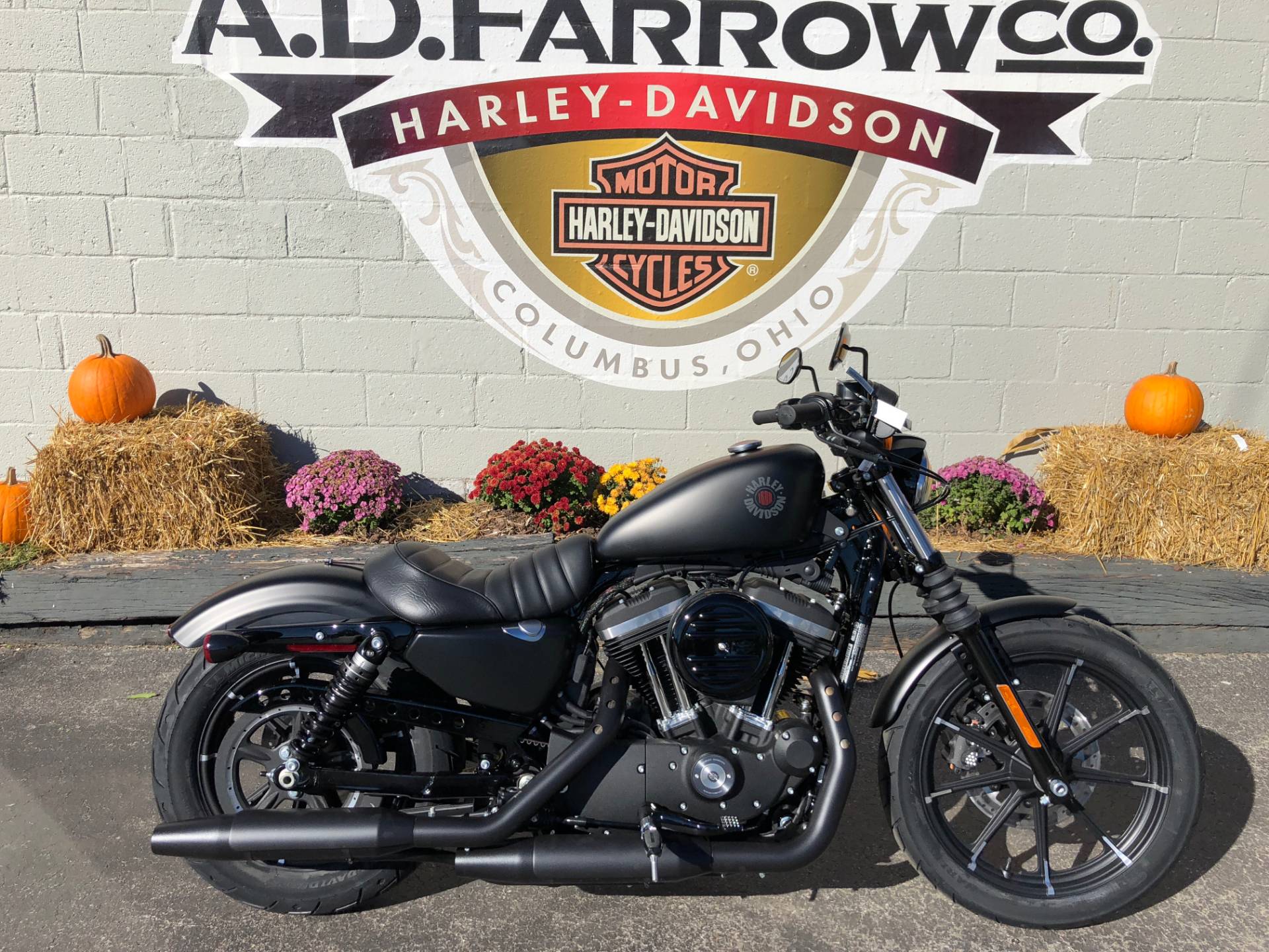 2019 Harley Davidson Iron 883 Motorcycles Sunbury Ohio