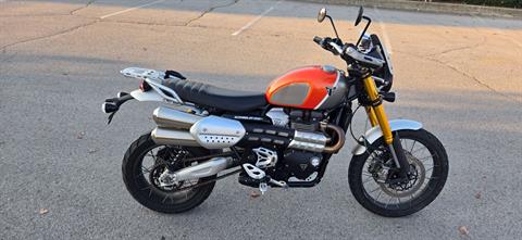 2022 Triumph Scrambler 1200 XE Gold Line in Lexington, Kentucky