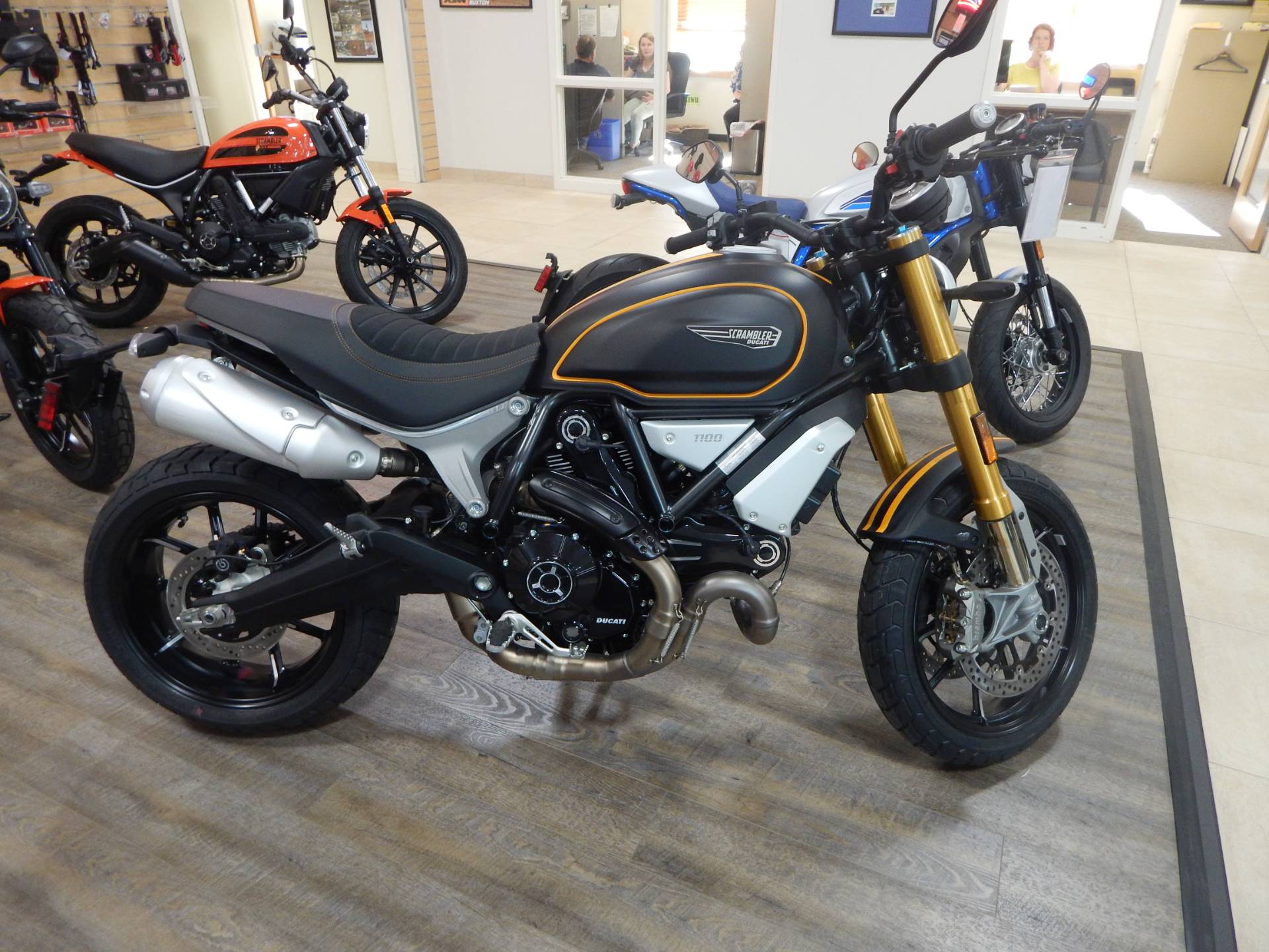 ducati 1100 scrambler 2019