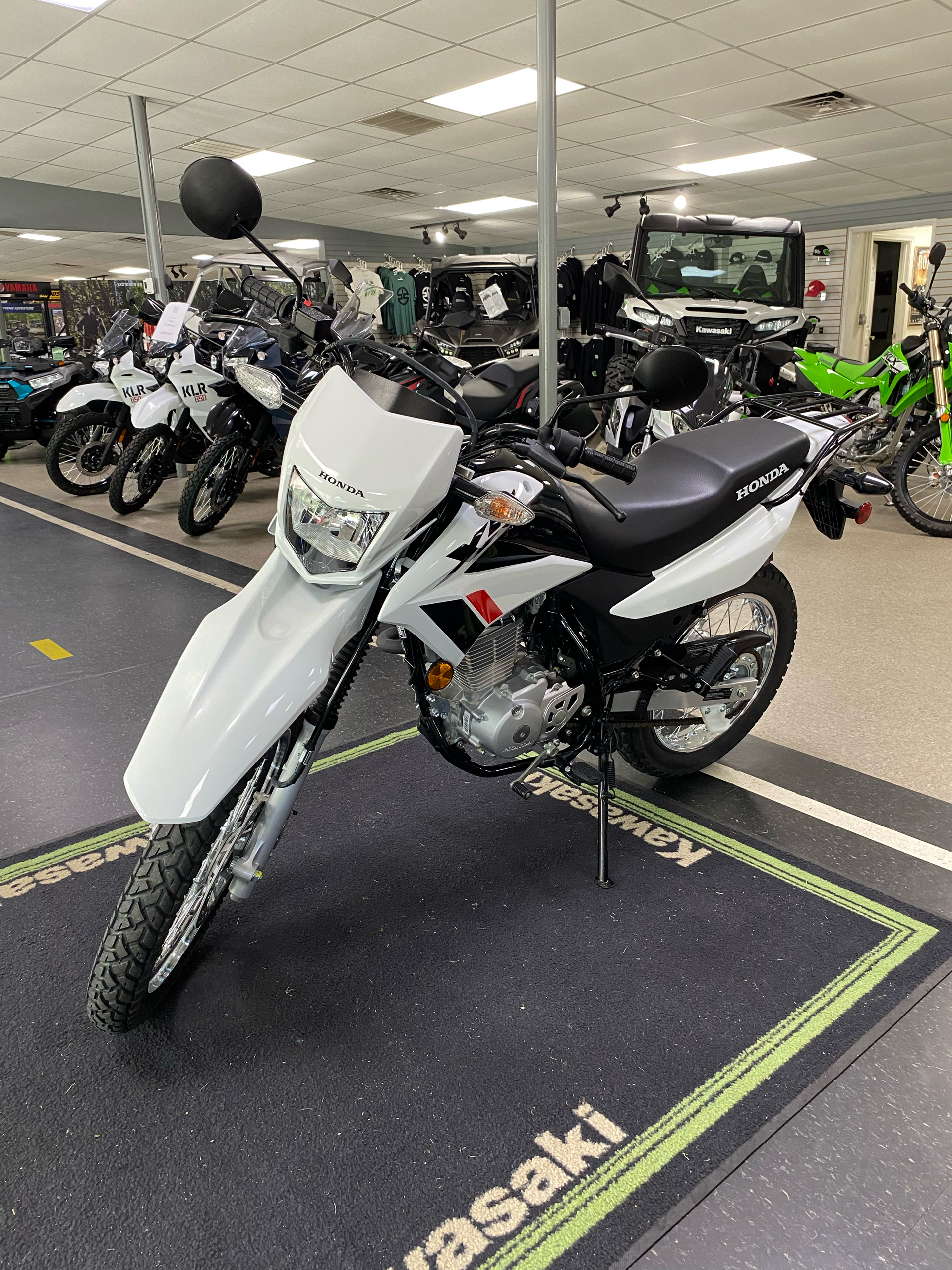 2023 Honda XR150L in Wilkesboro, North Carolina - Photo 1