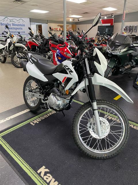 2023 Honda XR150L in Wilkesboro, North Carolina - Photo 2