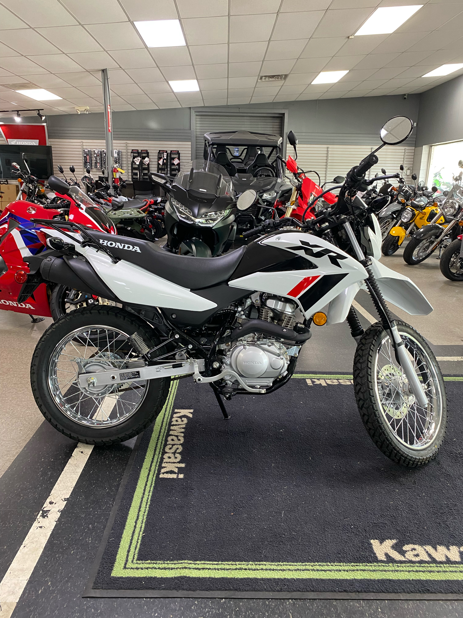 2023 Honda XR150L in Wilkesboro, North Carolina - Photo 3