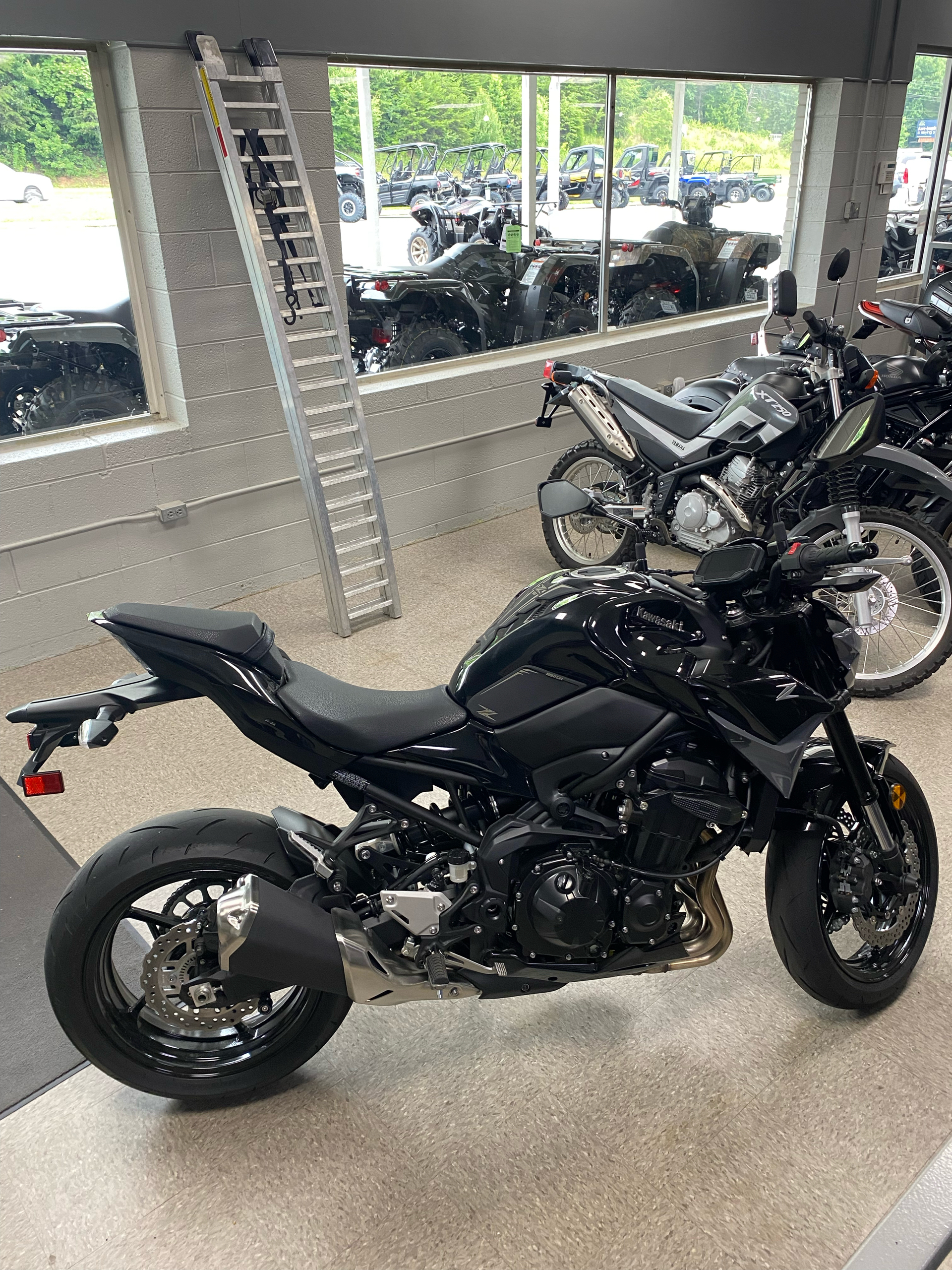 2024 Kawasaki Z900 ABS in Wilkesboro, North Carolina - Photo 3