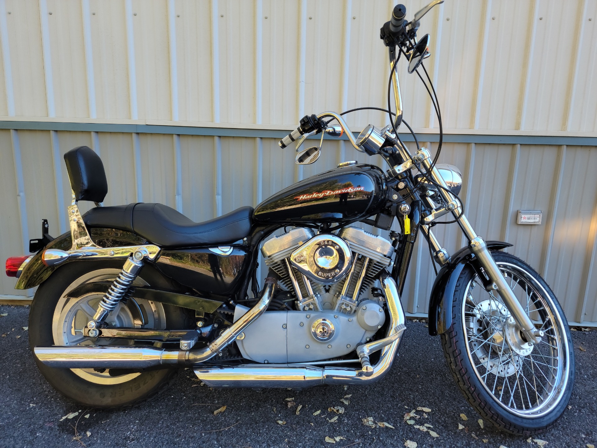 2003 Harley-Davidson XL 883C Sportster® Custom in Spring Mills, Pennsylvania - Photo 1