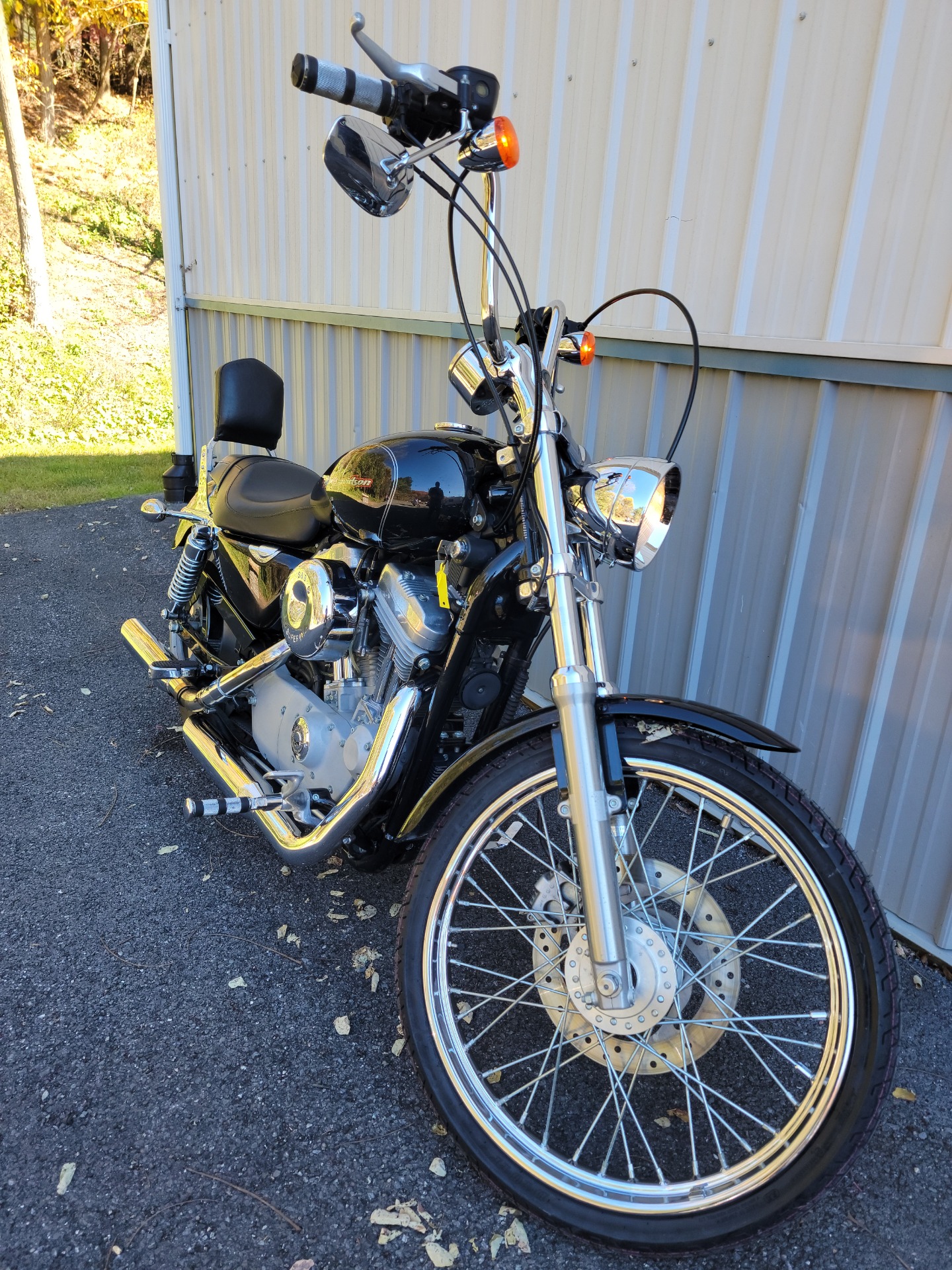 2003 Harley-Davidson XL 883C Sportster® Custom in Spring Mills, Pennsylvania - Photo 2