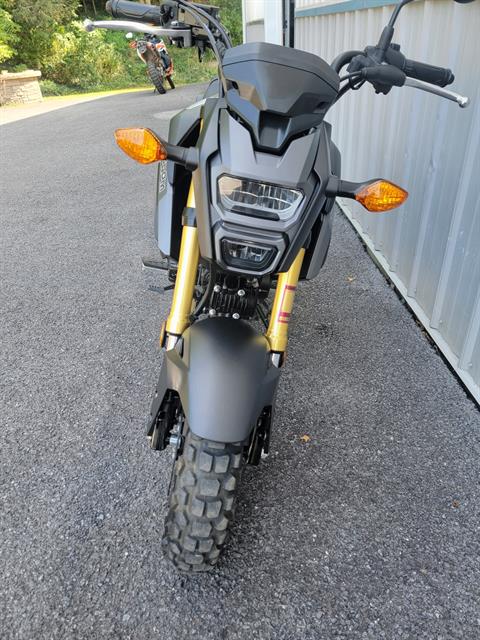 2018 Honda Grom in Spring Mills, Pennsylvania - Photo 3