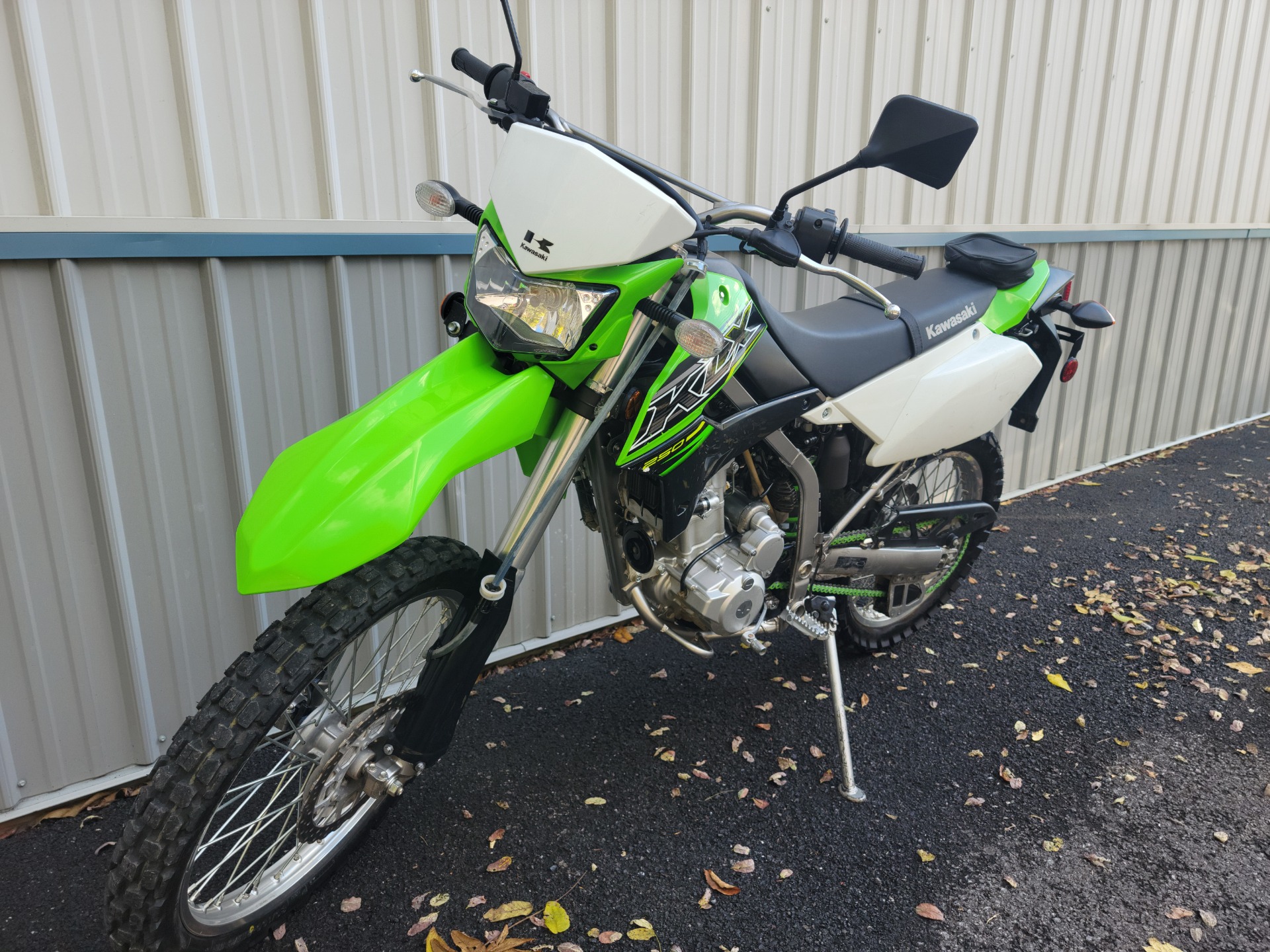 2019 Kawasaki KLX 250 in Spring Mills, Pennsylvania - Photo 4