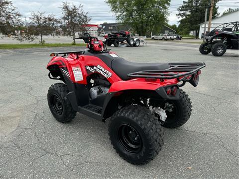 2024 Kawasaki Brute Force 300 in Derby, Vermont - Photo 3