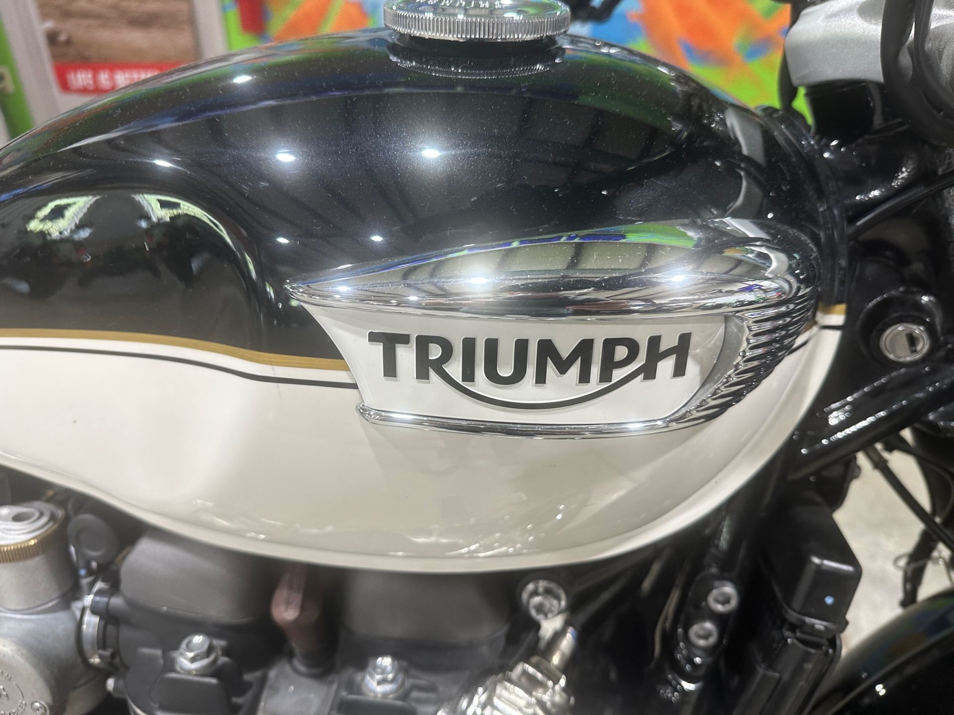 2022 Triumph Bonneville Speedmaster in Claysville, Pennsylvania - Photo 6