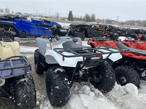 2024 Yamaha Grizzly EPS in Mason City, Iowa - Photo 3