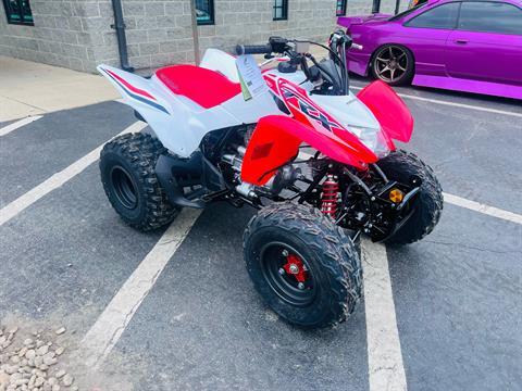 2024 Honda TRX250X in Greensboro, North Carolina - Photo 3