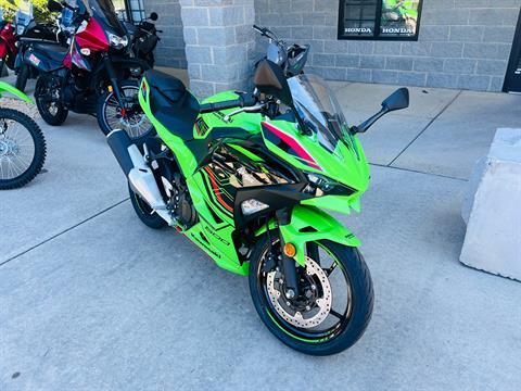 2024 Kawasaki Ninja 500 KRT Edition in Greensboro, North Carolina - Photo 1