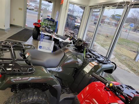 2023 Honda FourTrax Foreman Rubicon 4x4 Automatic DCT EPS in Sterling, Illinois - Photo 4