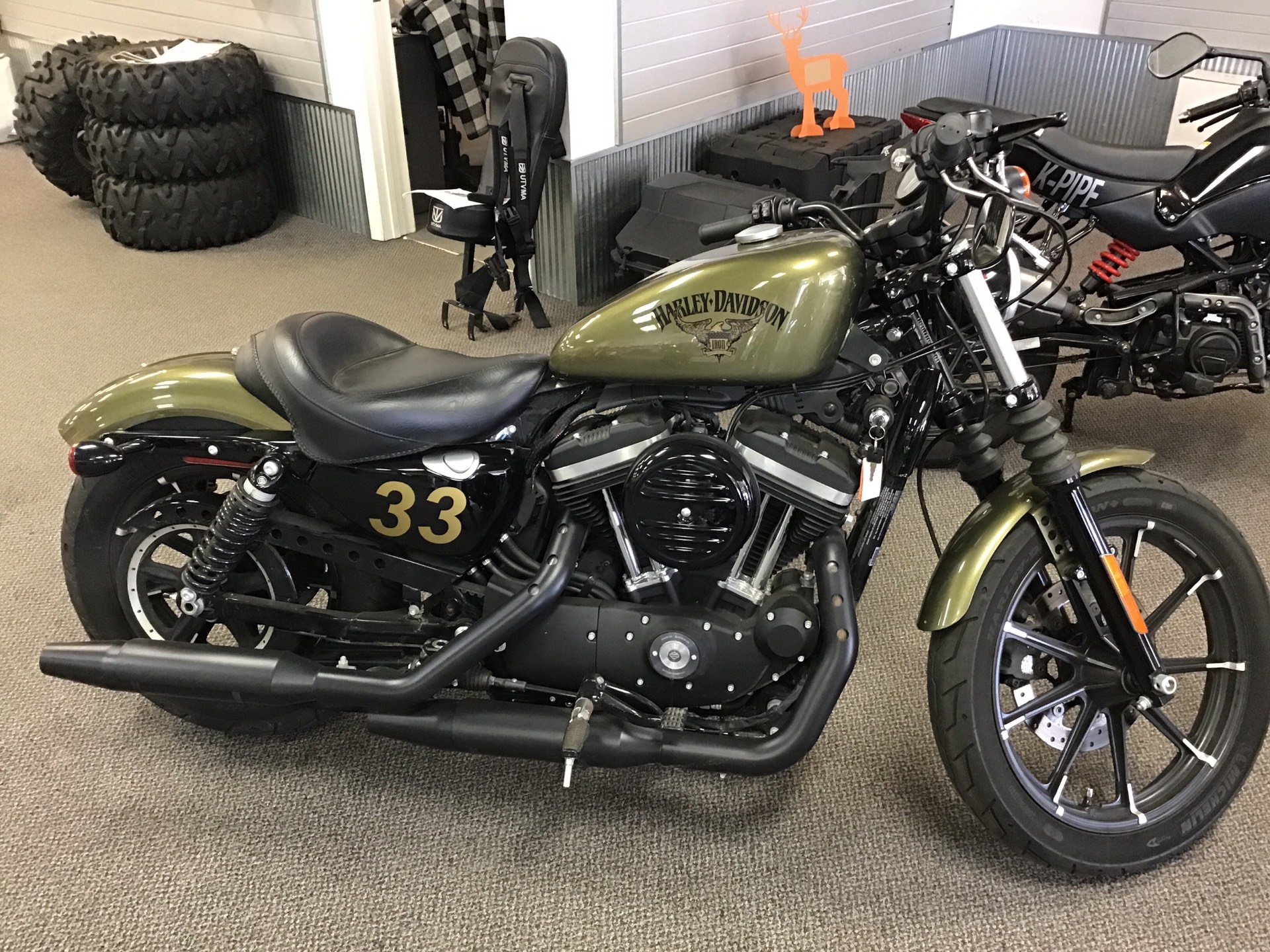 2017 Harley-Davidson Sportster 883 in Sterling, Illinois - Photo 2