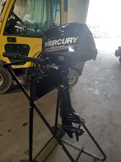 Mercury Marine f6msh in Superior, Wisconsin - Photo 6