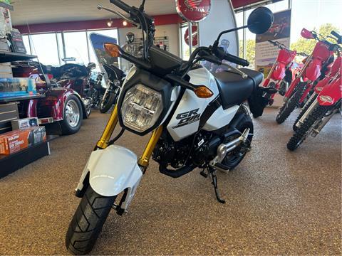 2025 Honda Grom in Algona, Iowa - Photo 2