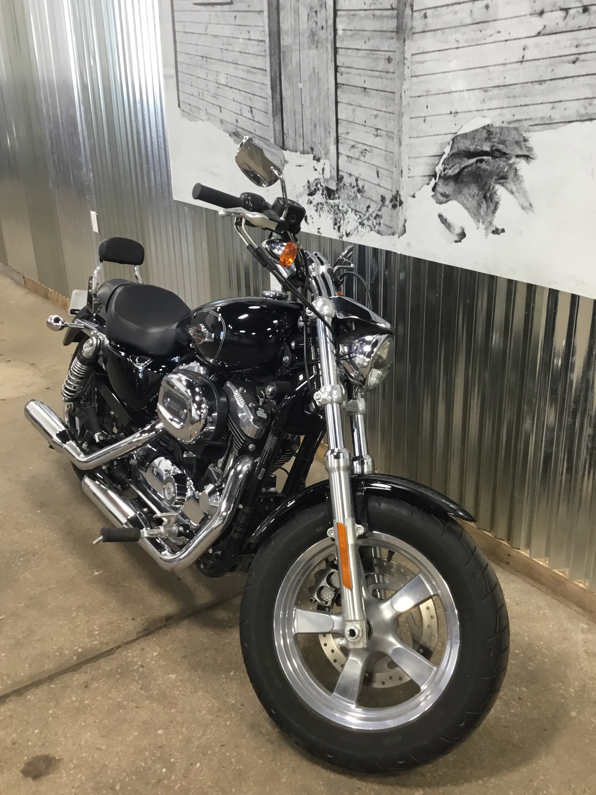 2016 Harley-Davidson 1200 Custom in Sheboygan, Wisconsin - Photo 4