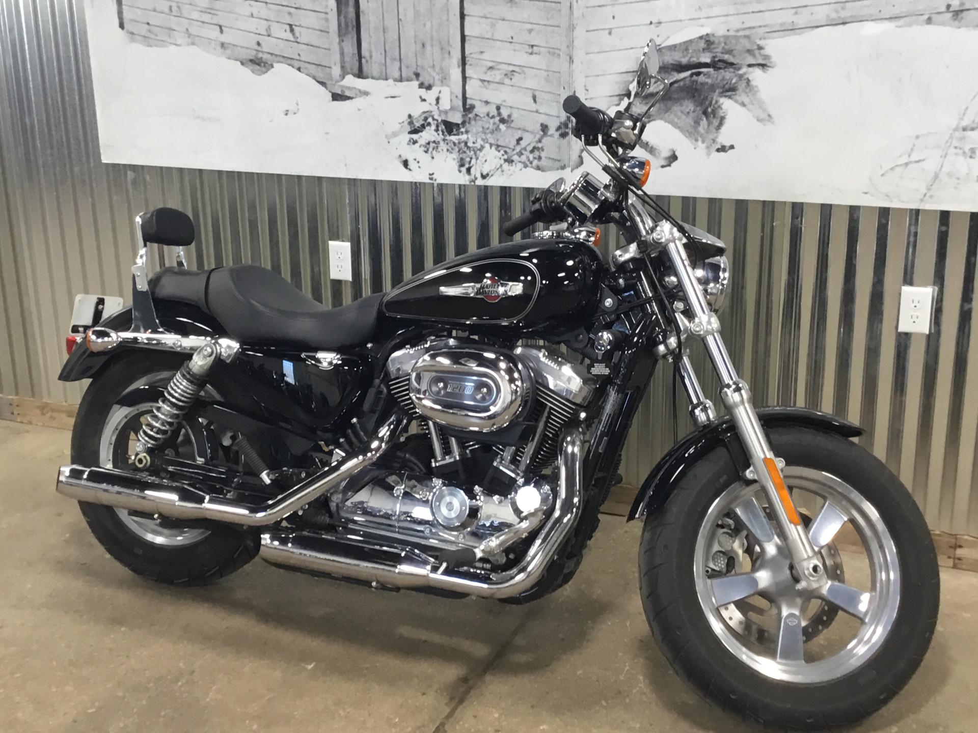 2016 Harley-Davidson 1200 Custom in Sheboygan, Wisconsin - Photo 3