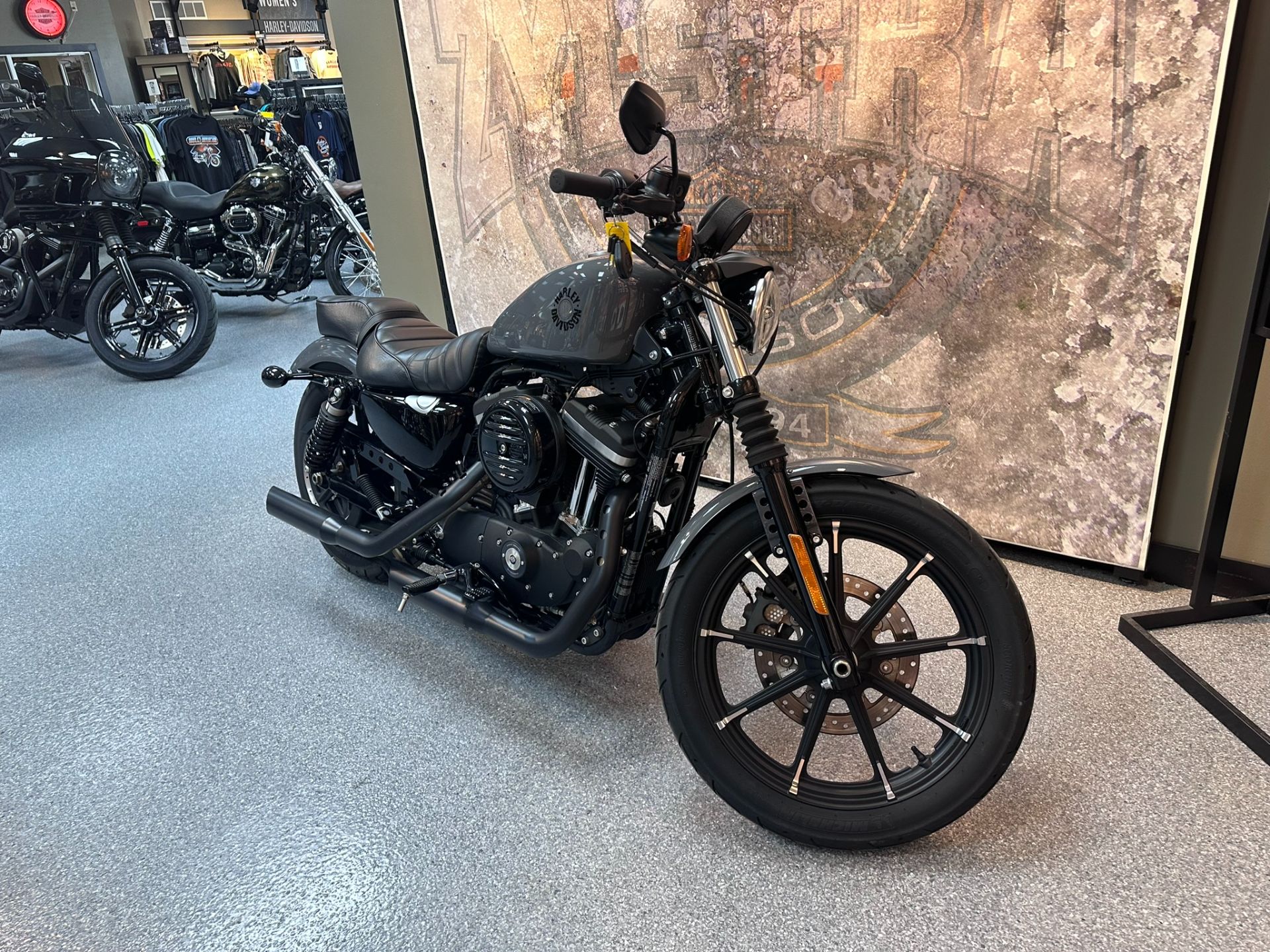 2022 Harley-Davidson Iron 883™ in Ames, Iowa - Photo 5