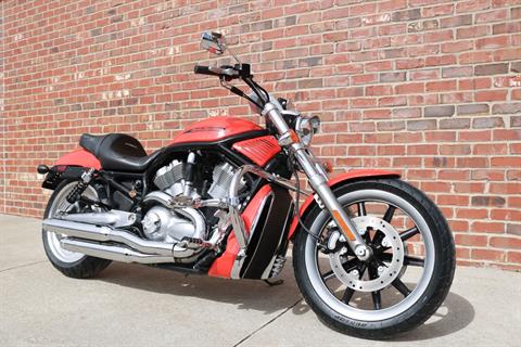 2005 Harley-Davidson VRSCB V-Rod® in Ames, Iowa - Photo 3