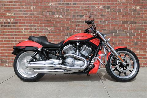 2005 Harley-Davidson VRSCB V-Rod® in Ames, Iowa - Photo 1