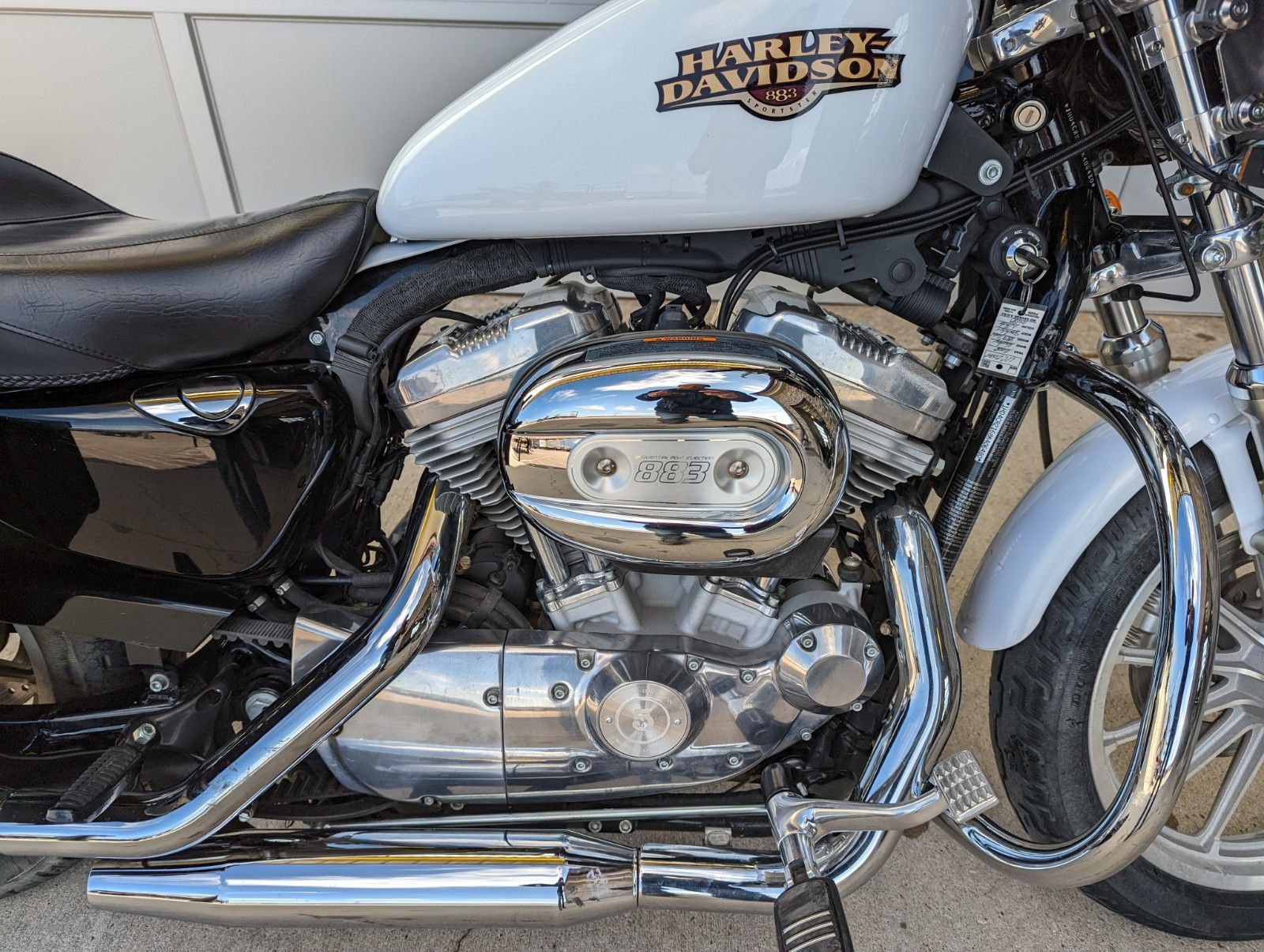 2008 Harley-Davidson Sportster® 883 Low in Rapid City, South Dakota - Photo 5